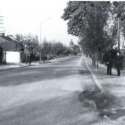zdjęcie nr 42