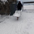 zdjęcie nr 7