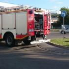Fotka nr 2 z 4