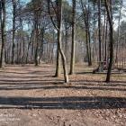 Leśnicy z Nadleśnictwa Kańczuga przekonują, że gospodarka leśna na terenie kompleksu...