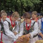zdjęcie nr 16