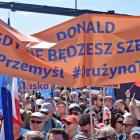 zdjęcie nr 13