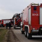 zdjęcie nr 9