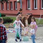 zdjęcie nr 43