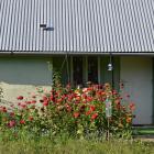 zdjęcie nr 20