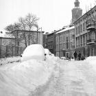 zdjęcie nr 31