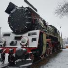 Fotka nr 3 z 12