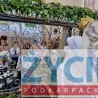 zdjęcie nr 43