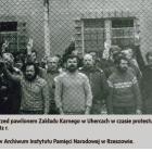 zdjęcie nr 10