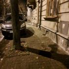 zdjęcie nr 7