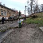 Fotka nr 4 z 14