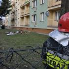 Fotka nr 4 z 10