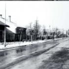 zdjęcie nr 98