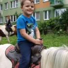 zdjęcie nr 19