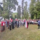 zdjęcie nr 45