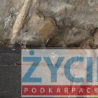 zdjęcie nr 8