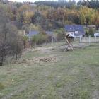 zdjęcie nr 17
