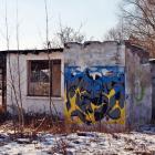 Fotka nr 4 z 13