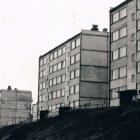 zdjęcie nr 54