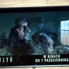 Fotka nr 5 z 23