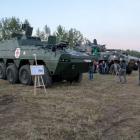Fotka nr 5 z 28