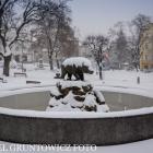 zdjęcie nr 7