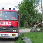 Fotka nr 5 z 18
