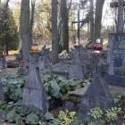 zdjęcie nr 8