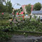 Fotka nr 4 z 8