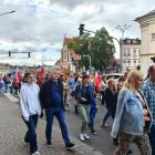 zdjęcie nr 15
