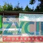 zdjęcie nr 2