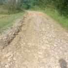 Fotka nr 4 z 7