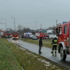 zdjęcie nr 9