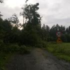 Fotka nr 4 z 12