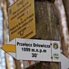 zdjęcie nr 40