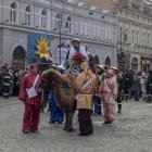 zdjęcie nr 11