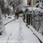 Fotka nr 5 z 39