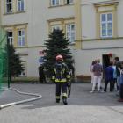 Fotka nr 2 z 8