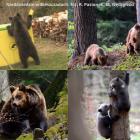 Fot. Roman Pasionek