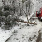 PSP i OSP z terenu powiatu przeworskiego

