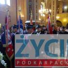zdjęcie nr 19