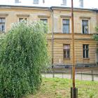 zdjęcie nr 13