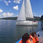 Fotka nr 2 z 7