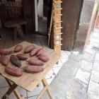 Kakaowiec.