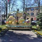 zdjęcie nr 7