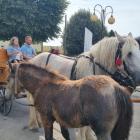 zdjęcie nr 105