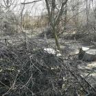 zdjęcie nr 8