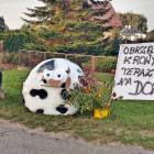 zdjęcie nr 56