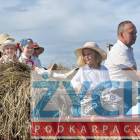 zdjęcie nr 7