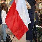 zdjęcie nr 15